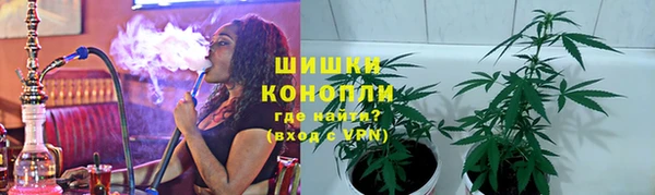 индика Алексеевка